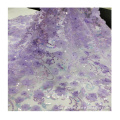 /msite/products/detail/productid/60665346/id/1337346.html